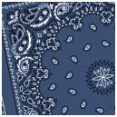 Bandana Blue