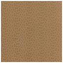 Heartfelt Frost Gold