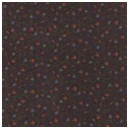 Fresh Picked Wild Orchid