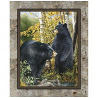 Black Bear Panel
