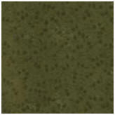 Kansas Troubles Green