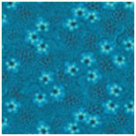 Cameo Forget Me Knot