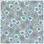 Cameo Forget Me Know Sugar